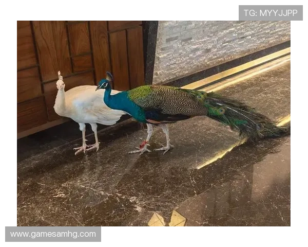 皇冠登录官网地址官方最新版本，提供便捷安全的登录体验