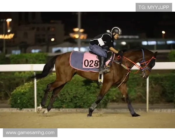 澳门赛马：详细介绍澳门赛马的历史背景、举办时间与赛事亮点