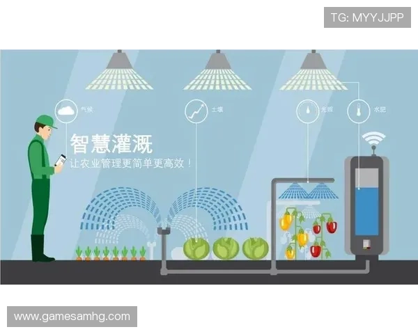 皇冠管理端优化性能的关键技术分析实现高效稳定运行保障企业持续发展的核心支撑